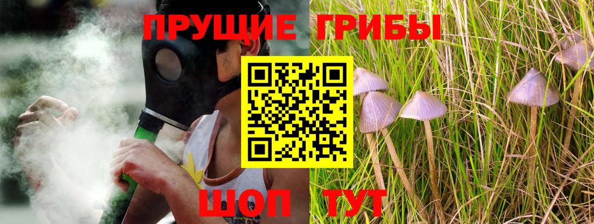 Псилоцибиновые грибы Cubensis Губаха