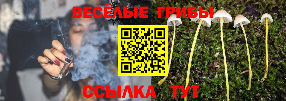 Губаха  Псилоцибиновые грибы мухоморы  Вход с VPN 